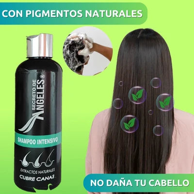 Shampoo Cubre Canas Secreto de Ángeles + Obsequio