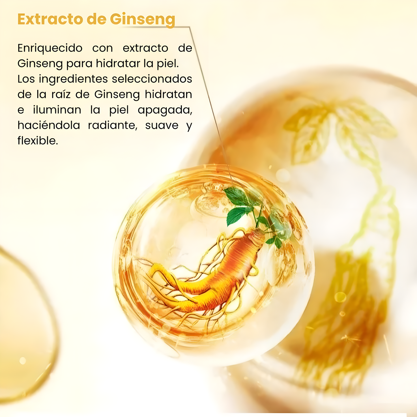 Ginseng | Sérum rejuvenecedor hidratante